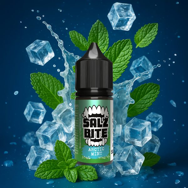 Arctic Mint 10ml SALZ BITE ( 10vnt dežė )